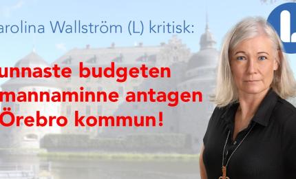 Karolina Wallström (L): Tunnaste budgeten i mannaminne  antagen i Örebro kommun!