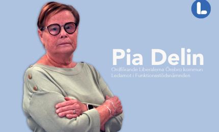 Pia Delin, Liberalerna Örebro kommun Ordförande Liberalerna Örebro kommun Ledamot Funktionsstödsnämnden